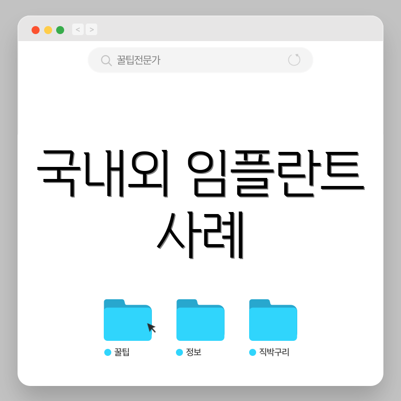 국내외 임플란트 사례
