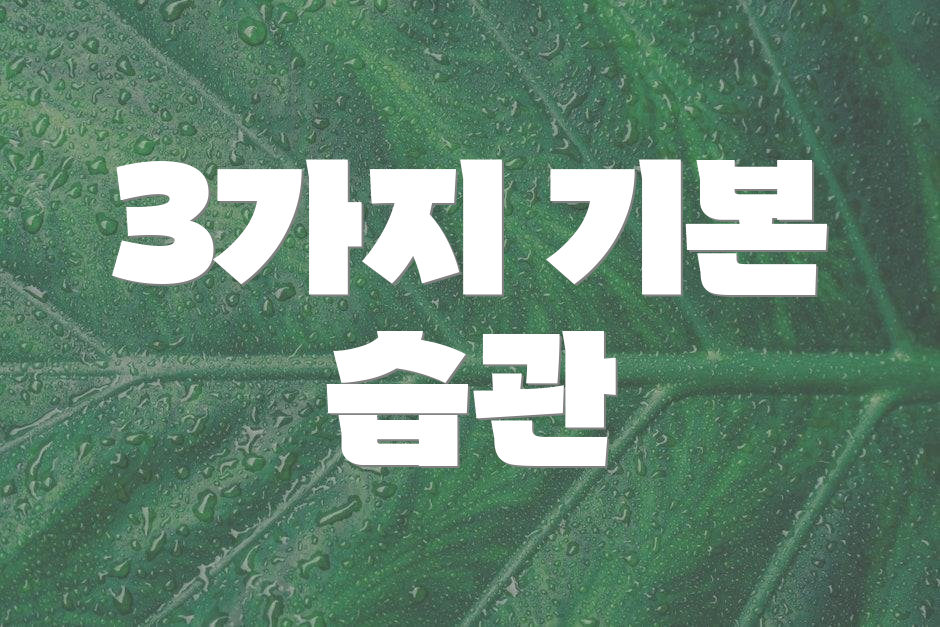 3가지 기본 습관