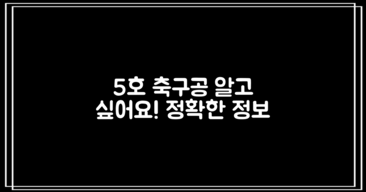 5호 축구공, 정확히 어떤 건가요?