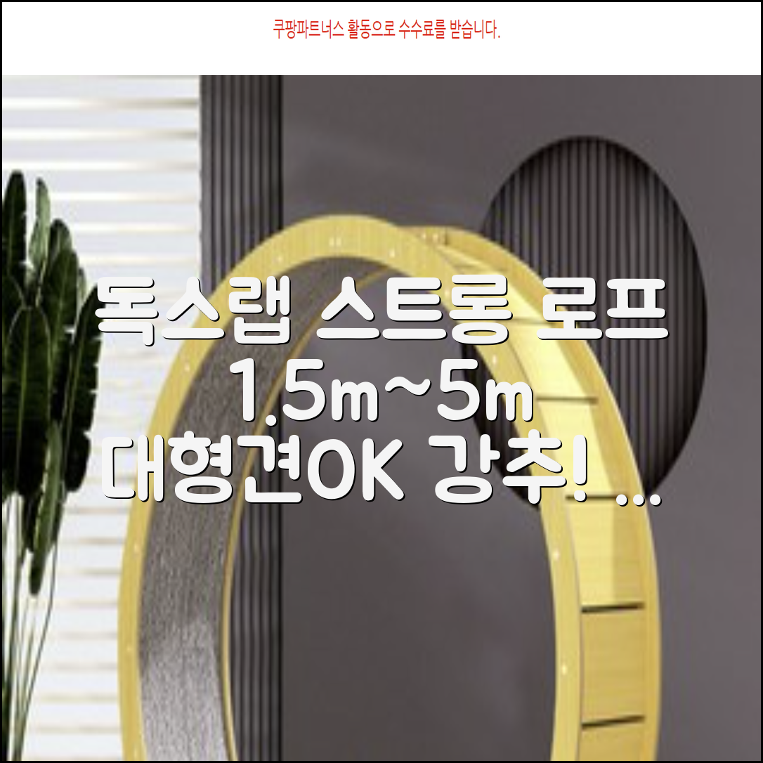 독스랩 1.5m 2m 3m 5m 스트롱 로프 소형견 중형견 대형견 줄 강아지 리드줄 산책줄, 블랙, 1개 추천 리뷰