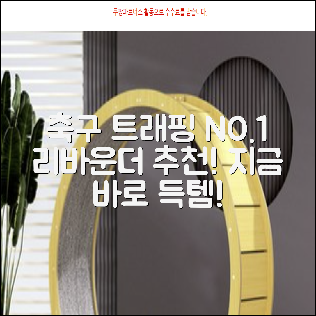 축구 리프팅 트래핑 리바운더 리바운드 네트, 1개 추천 리뷰