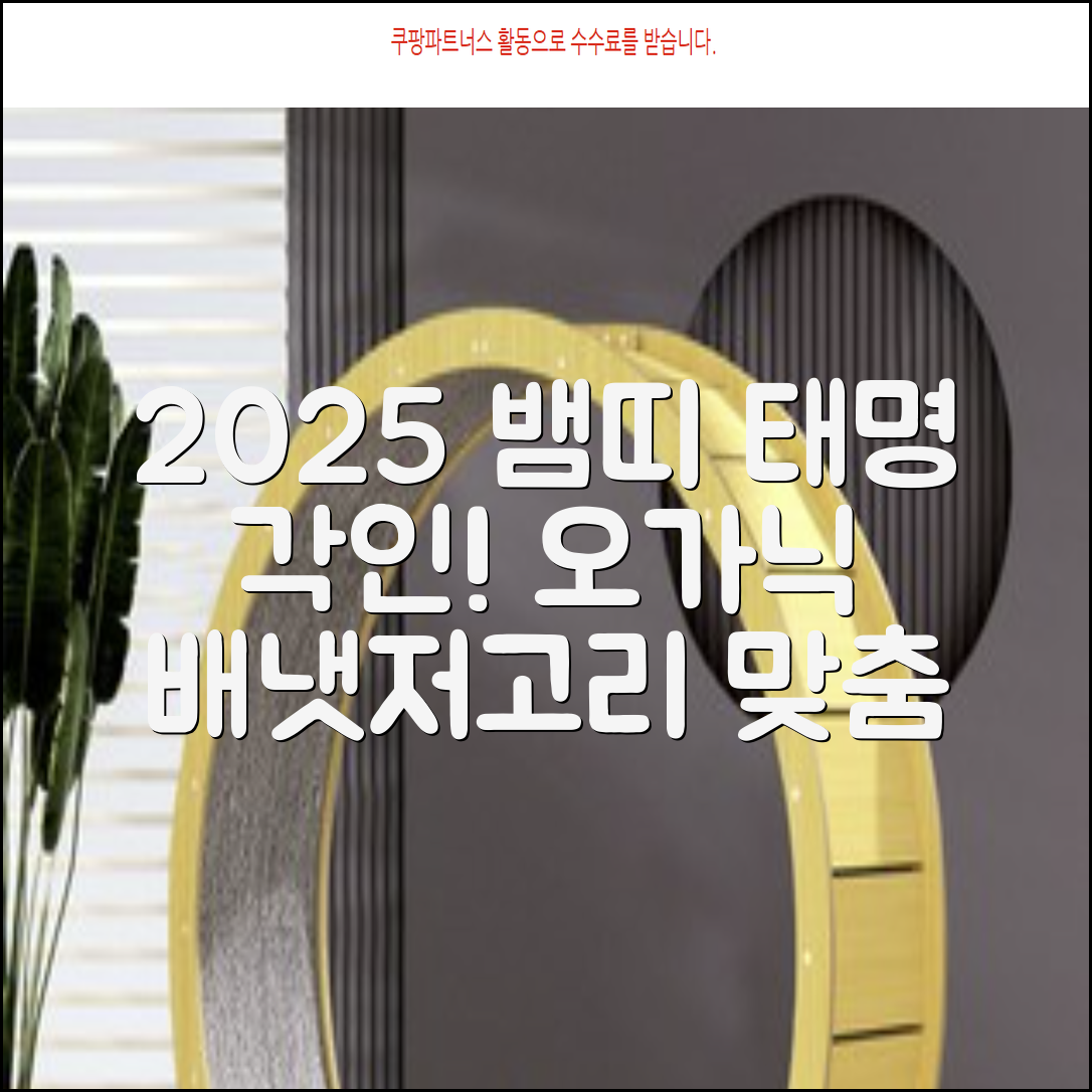 2025 뱀띠 태명 자수 각인 오가닉 배냇저고리 완제품 선물세트 주문맞춤제작 임신출산선물 유기농 인증 선물포장 만삭사진 베이비샤워 청사띠 추천 리뷰