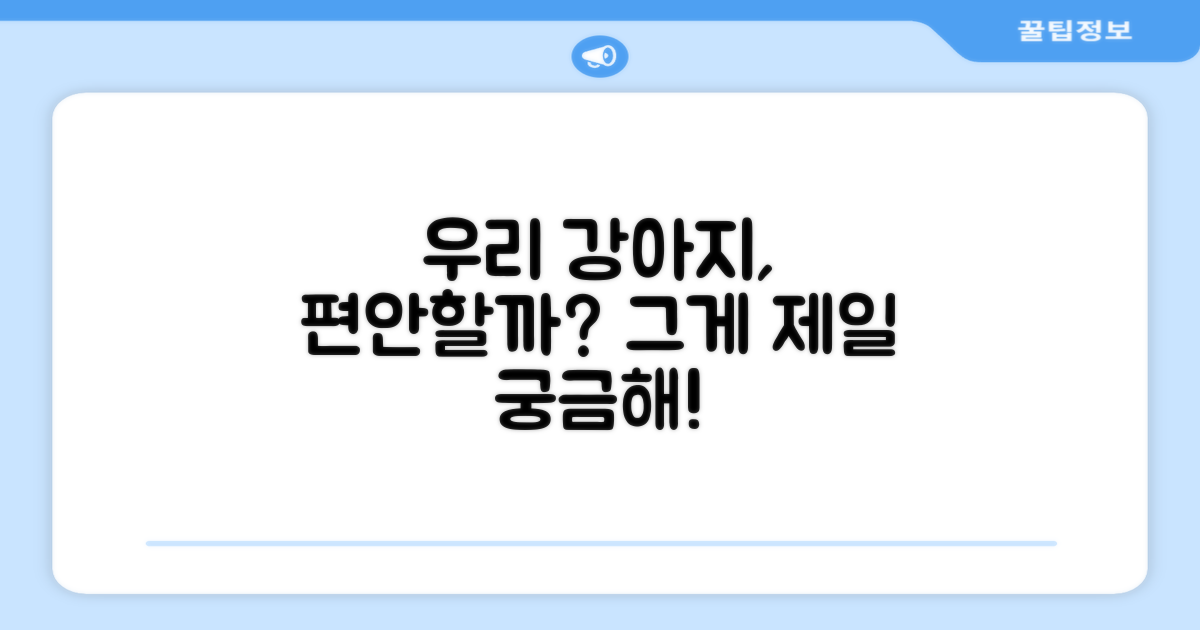 강아지에게 편안할까?