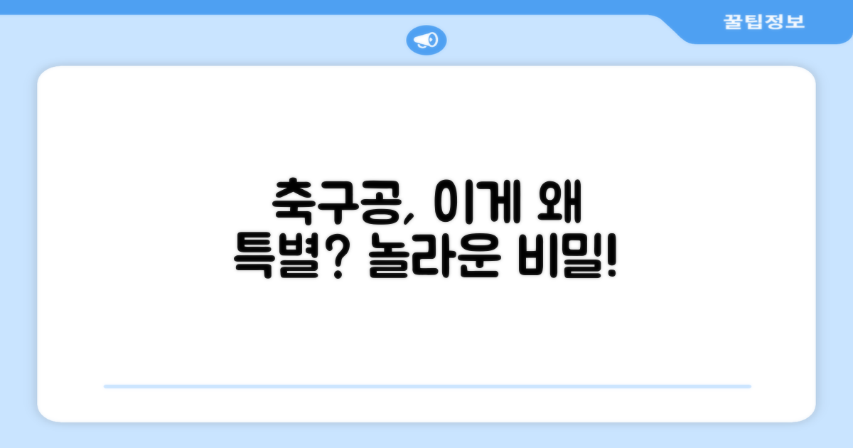 이 축구공, 어떤 점이 특별할까?