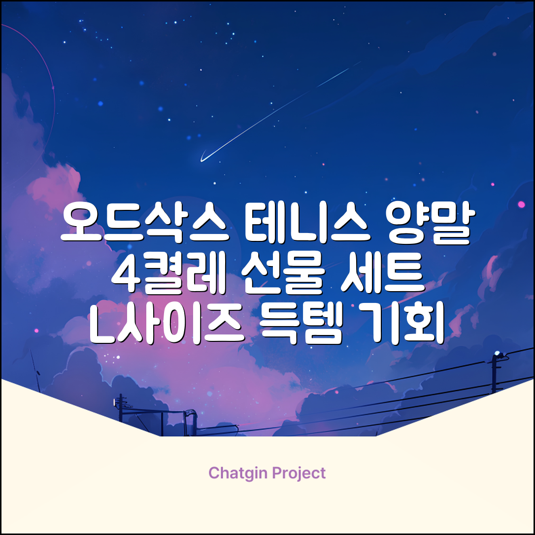 [오드삭스] 테니스 양말 세트B 4켤레 선물용, L(255mm-275mm), 1개 추천 리뷰