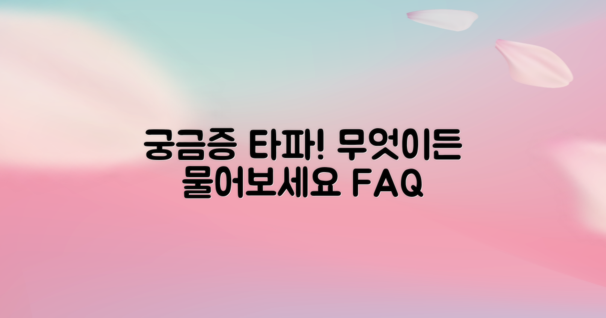 자주 묻는 질문
