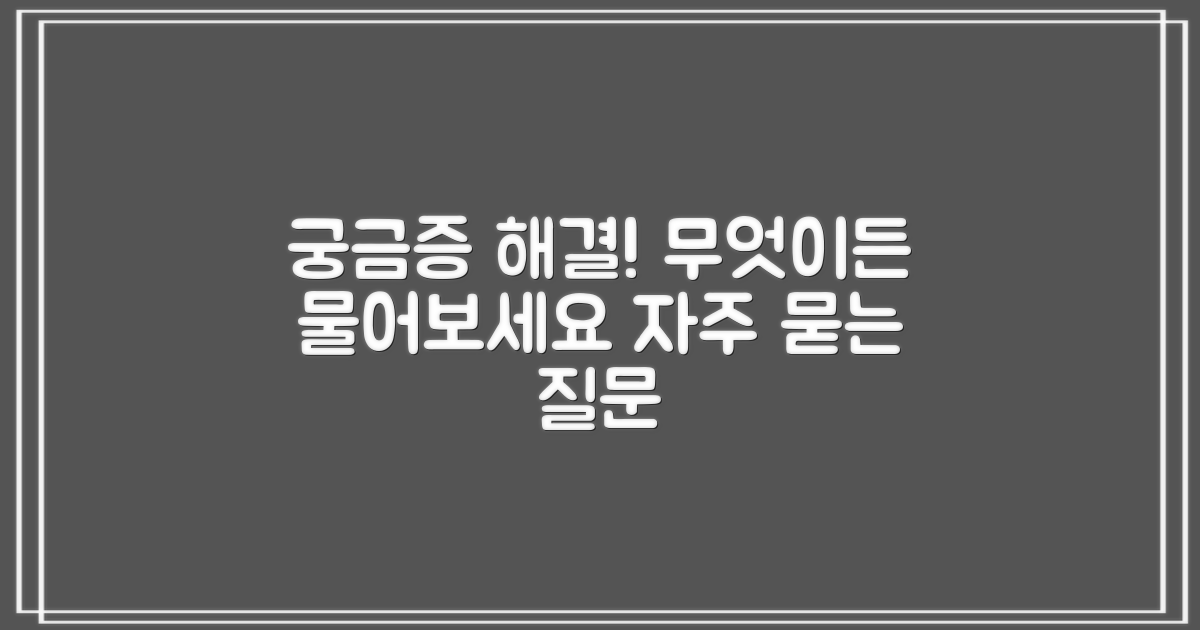 자주 묻는 질문